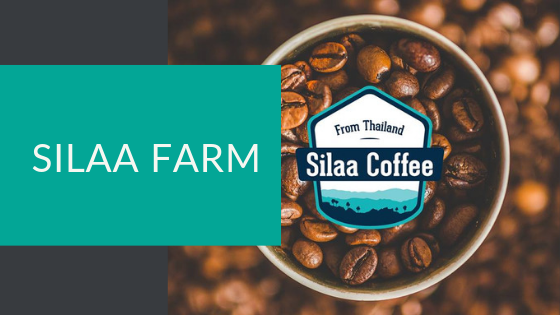 Silaa Farm | Digiserve
